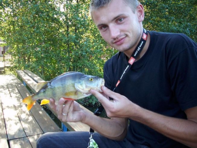 Okonik