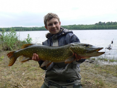 Szczupak 95cm z dzikiej wody.