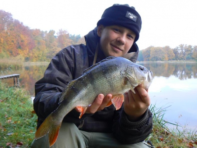Jesienny okoń.