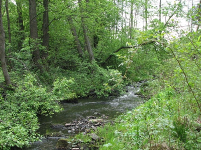 Rzeczka
