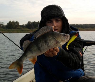 Październikowy okoń