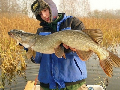 Szczupal