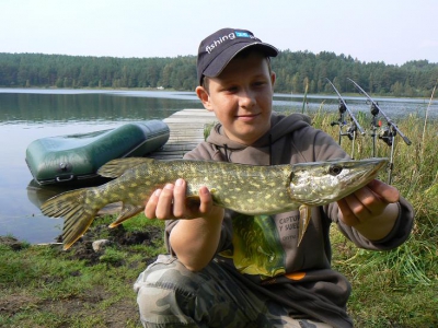 Mały sczupaczek.