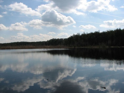 Torfowisko