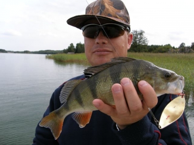 Okoń 