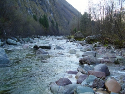 Raj na ziemi