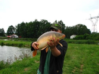 Karp