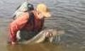 Big Pike