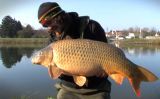 karp