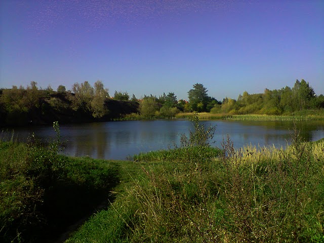 P071010_15.25