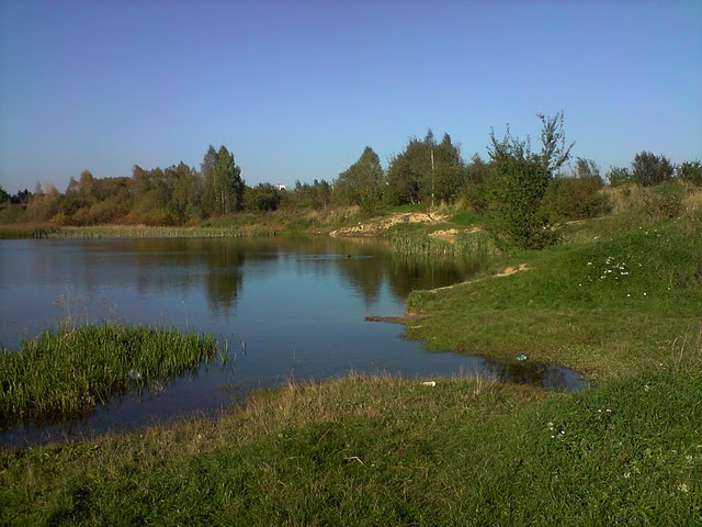 P071010_15.2501