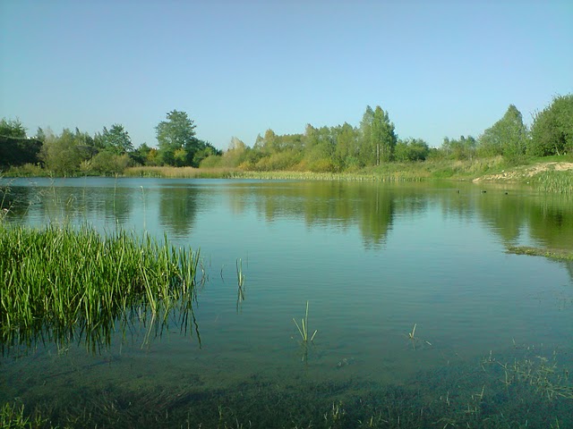P071010_15.2502