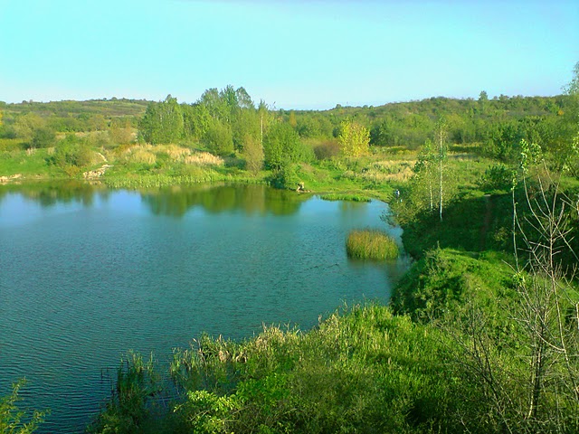P071010_15.34