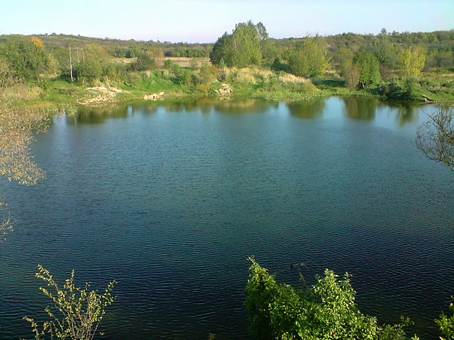 P071010_15.35