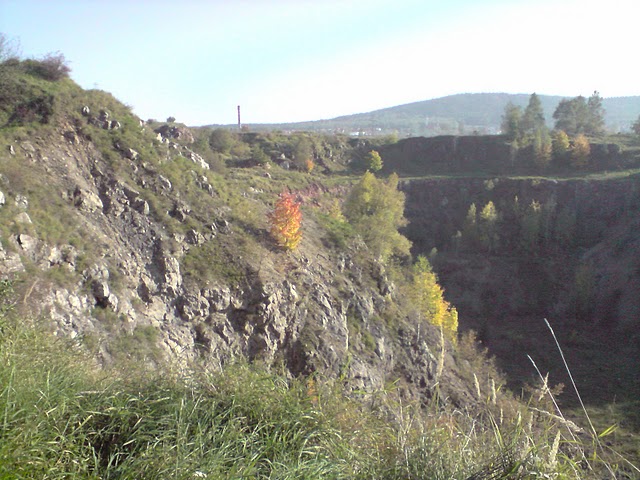 P071010_15.50