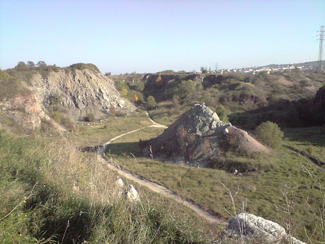 P071010_15.53