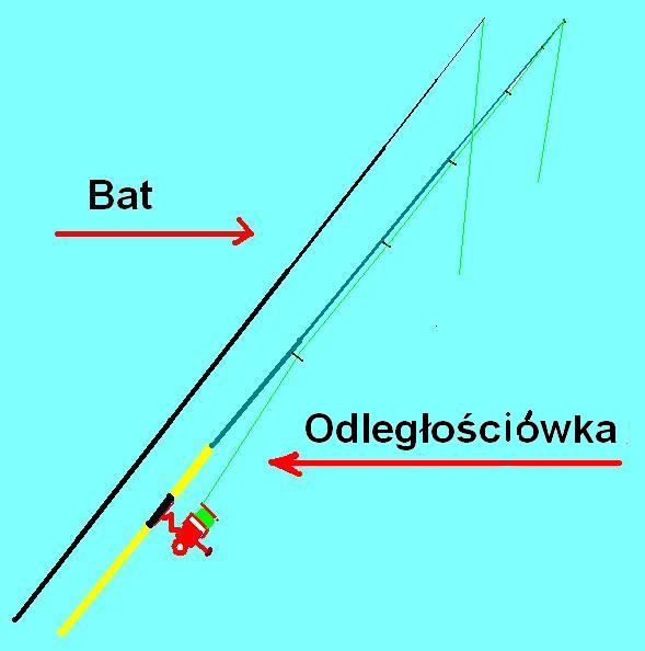 bat