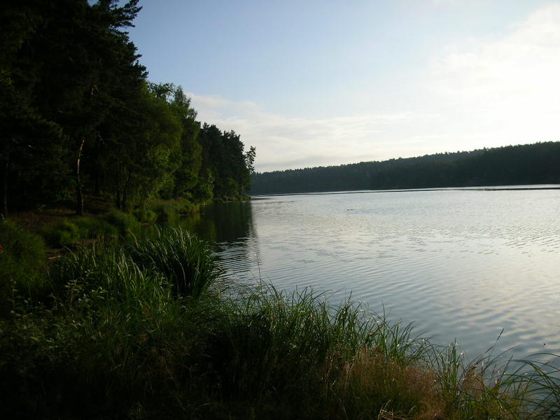 dscn3266m