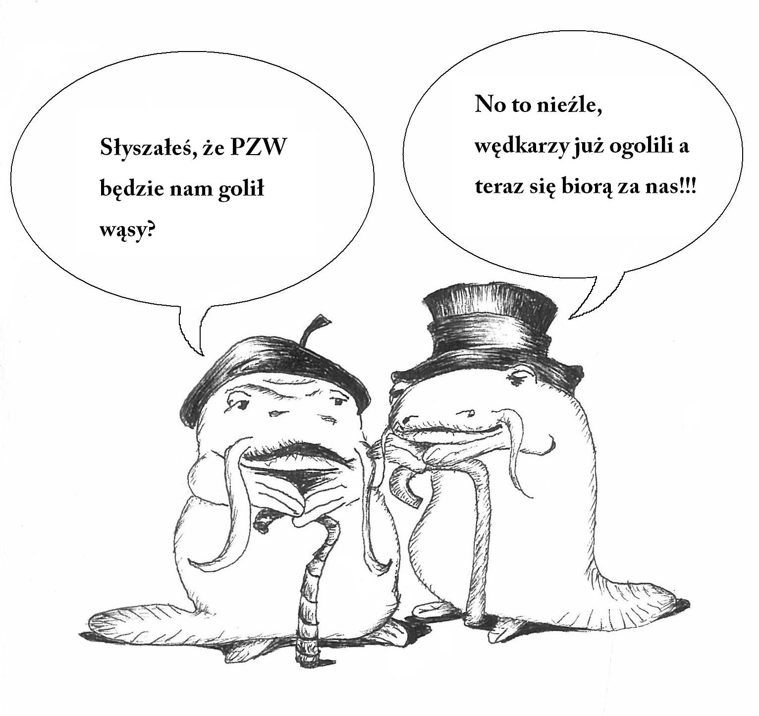 dwa_stare_sumy1
