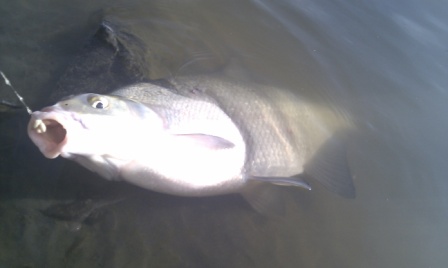 IMAG0064