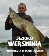 wersminia_rekord2
