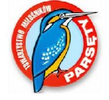 Parsęta