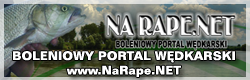 narape_250x80
