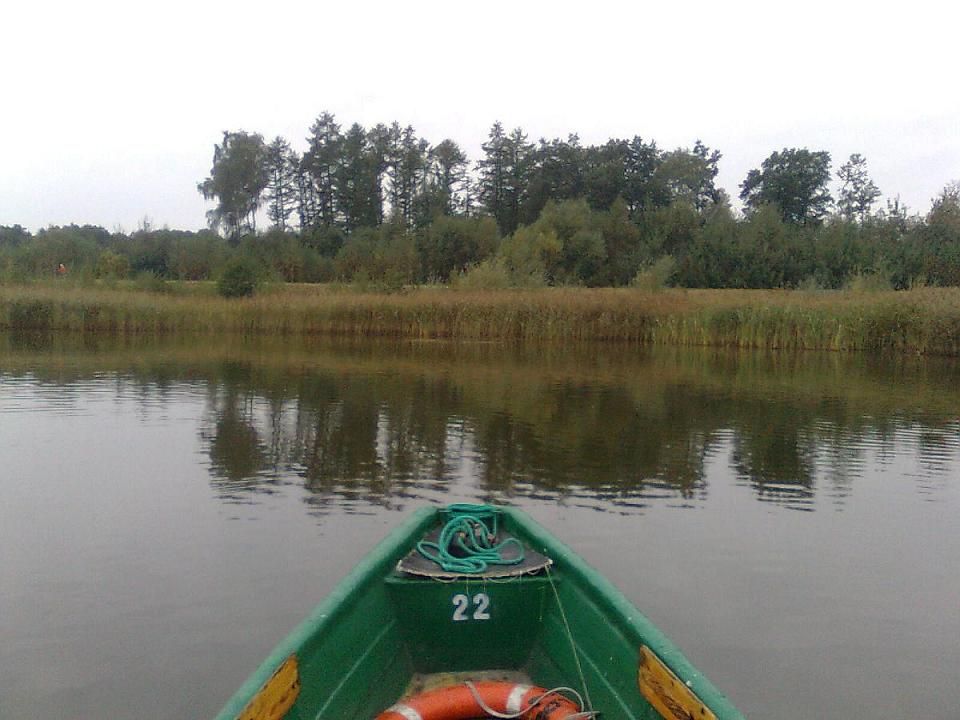 Szuwary