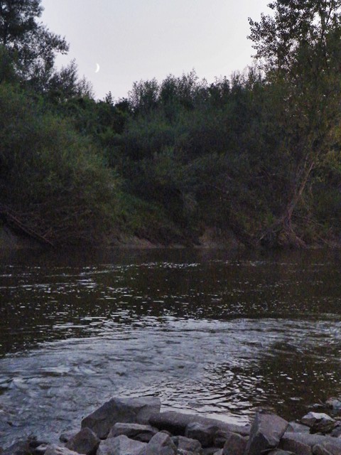 DSCF3954