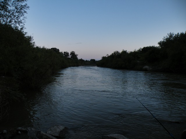 DSCF2891