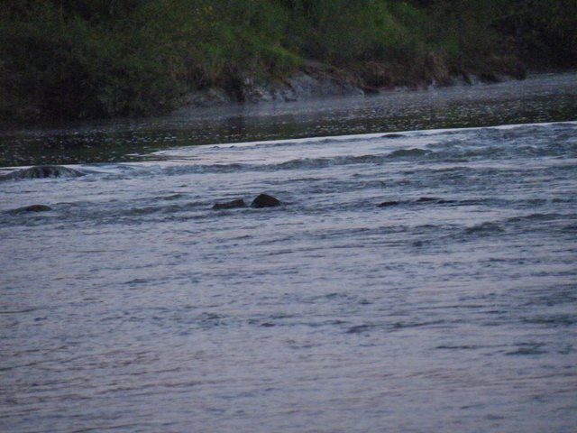 DSCF2909